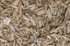 biomass boilers Raskelf