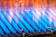 Raskelf gas fired boilers